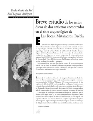 Breve estudio de los restos óseos de dos entierros encontrados en el sitio arqueológico de las Bocas, Matamoros Puebla.