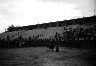 Charro sobre una plataforma torea