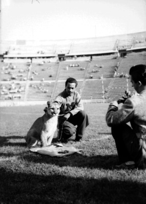Hombre sostiene a un puma en el estadio de Ciudad Universitaria