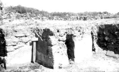 Cala de excavación, reproducción