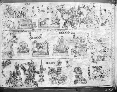 Códice Colombino, detalle