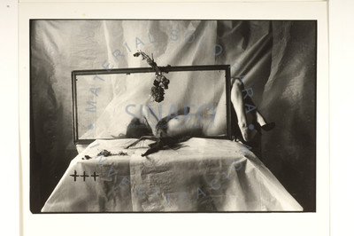 Desnudo de mujer acostada en una mesa con cuadro delante
