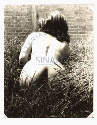 Mujer desnuda posa de espaldas recostada sobre el pasto