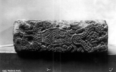 Fragmento de estela prehispánica exhibida en el Museo Nacional