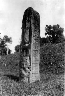 Estela maya, vista parcial