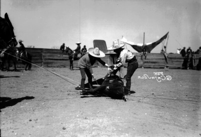 Charros colocan lazo a toro para poder ser jineteado