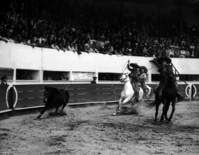 Charro lanzan mangana a un caballo en un espectáculo