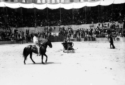 Charros torean durante un evento