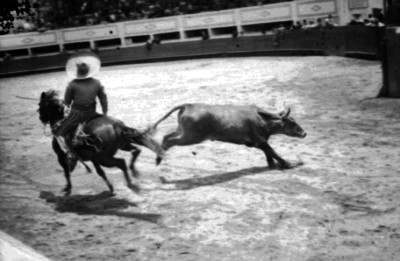Charro lanza mangana a un toro