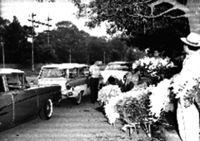 Individuos vendiendo flores en la carretera