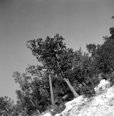 Obras de construcción de la presa Humaya