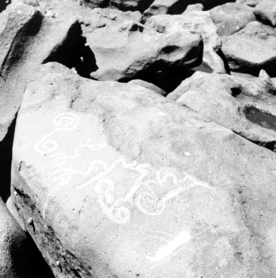 Vista de petroglifo en el sitio de Las Labradas en San Ignacio, Sinaloa, reprografía