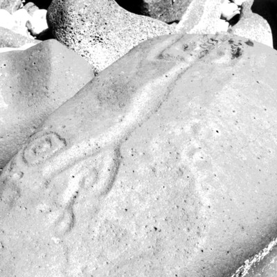 Detalle de petroglifo con figura antropomorfa en Las Labradas, reprografía