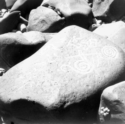 Figuras en espiral en los petroglifos de Las Labradas, reprografía