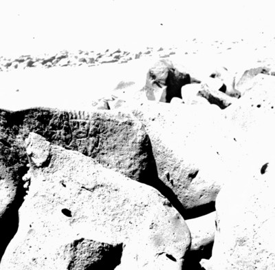 Vista parcial de un petroglifo en Las Labradas, reprografía