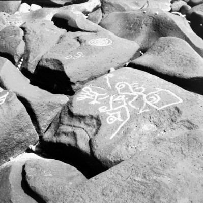 Vista de petroglifos en Las Labradas, reprografía