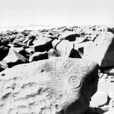 Vista parcial de los petroglifos en Las Labradas, reprografía