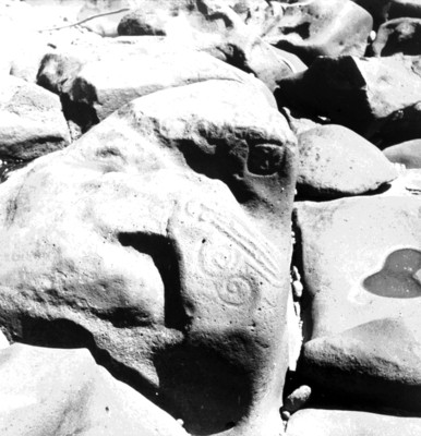 Reprografía de los Petroglifos de Las Labradas