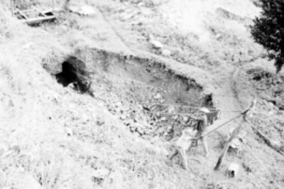 Hombres realizan excavación en Palenque, vista general