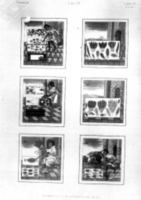 Códice Florentino, lámina LXII