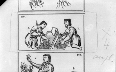 Publicación de la mina No. 139 del Codíce florentino, reprografía