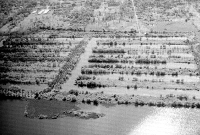 Rivera del río grijalva, panorámica