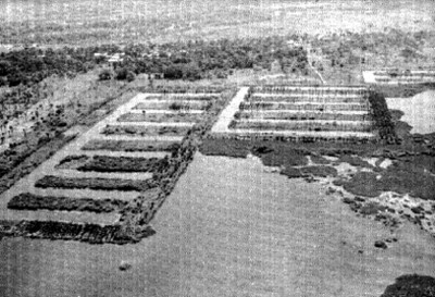 Campos de cultivo, vista aérea