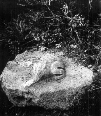 Pieza escultórica zoomorfa mutilada