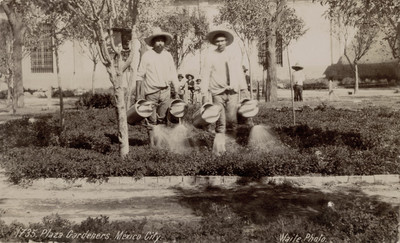 Plaza Gardeners México city