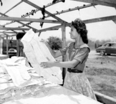 Trabajadoras salando tiburón en Mazatlán