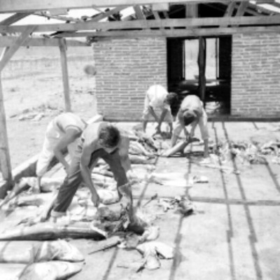 Pescador destazando tiburón en Mazatlán