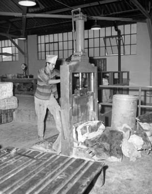 Obrero opera máquina en instalación industrial