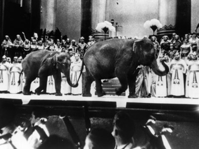 Elefantes En La Opera Aida Mediateca Inah elefantes en la opera aida mediateca inah