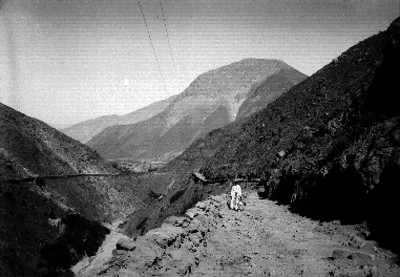 Hombre en un camino, retrato