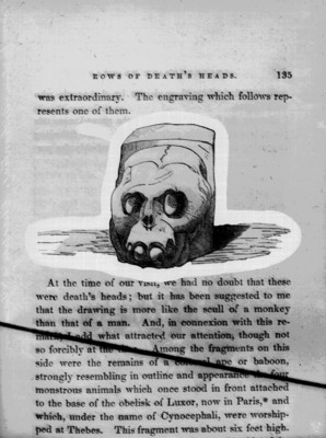 Ilustración de una cabeza de la muerte, reprografía bibliográfica