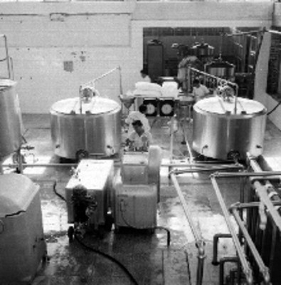 Obreros maniobrando procesadoras de leche en polvo en una fábrica de CEIMSA