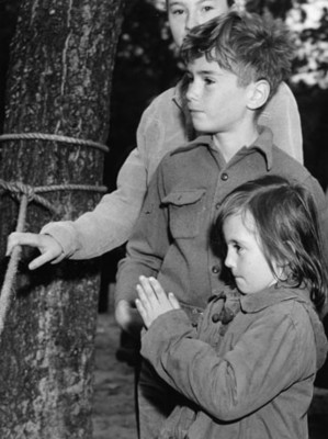 Niños junto a una soga atada a un árbol