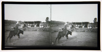 Hombre monta toro en un jaripeo