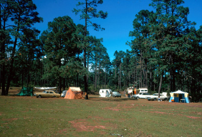 Campamento en medio de un bosque