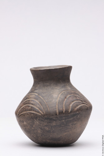 Olla