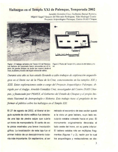 Hallazgos en el Templo XXI de Palenque, Temporada 2002