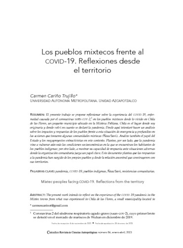 Los pueblos mixtecos frente al Covid-19. Reflexiones desde el territorio