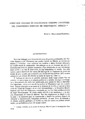 Sobre dos molares de Paraelephas Columbi (Falconer) del Pleistoceno superior de Tequixquiac, México.