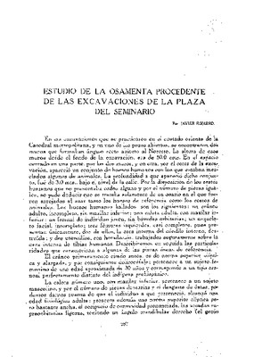 Estudio de la osamenta procedente de las excavaciones de la Plaza del Seminario