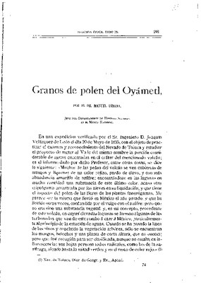 Granos de polen del oyámel.