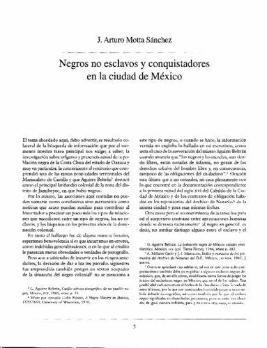 Negros no esclavos y conquistadores en la ciudad de México