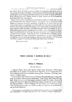 Primates carnívoros e insectívoros de México.