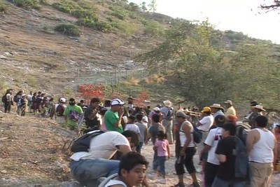 Tigres en la montaña