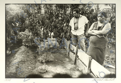 Hombre y mujer observan cultivos de un jardín