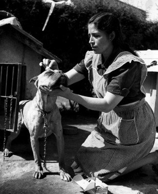 Mujer realiza curación a un perro